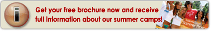 Enforex Brochure