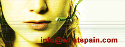 contact with Whatspain
