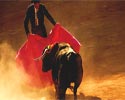 bullfight
