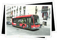 Urban Bus